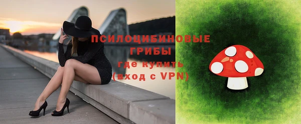 соль курить ск Вяземский