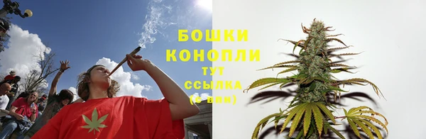 индика Горнозаводск