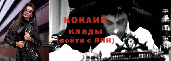 индика Горнозаводск