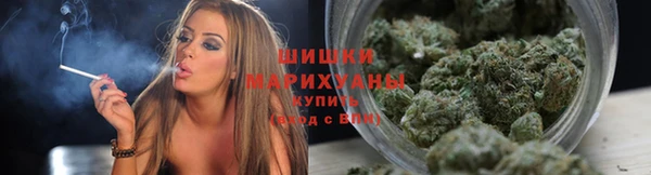 индика Горнозаводск