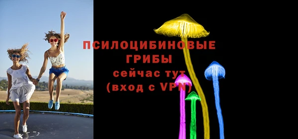 первитин Горняк