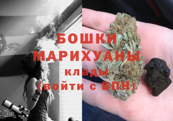 индика Горнозаводск