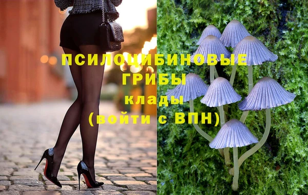 гашик Горно-Алтайск