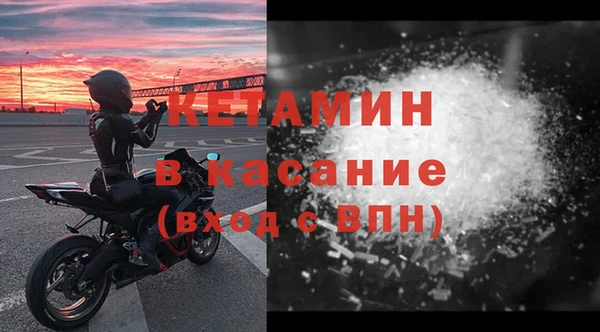 трава Коряжма