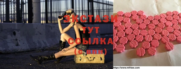 индика Горнозаводск