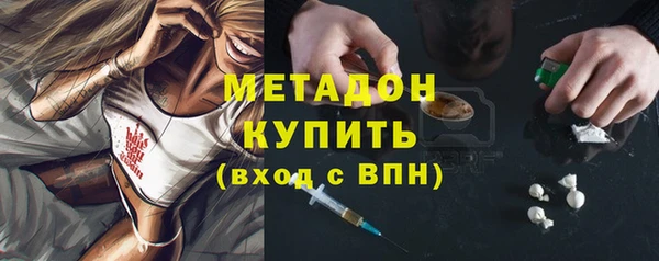 индика Горнозаводск