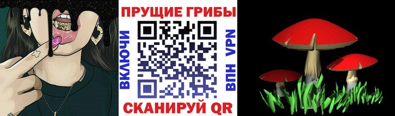 Псилоцибиновые грибы Magic Shrooms  купить   Заволжье 